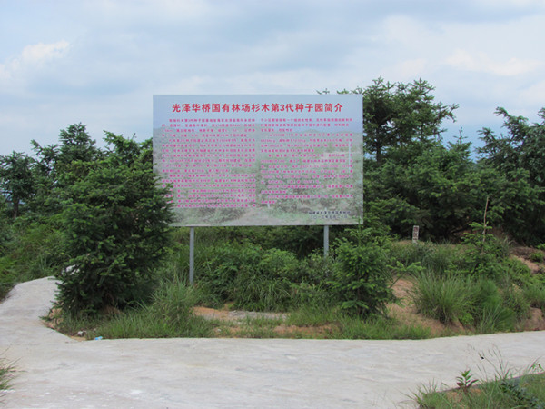 ɼľ��3������԰