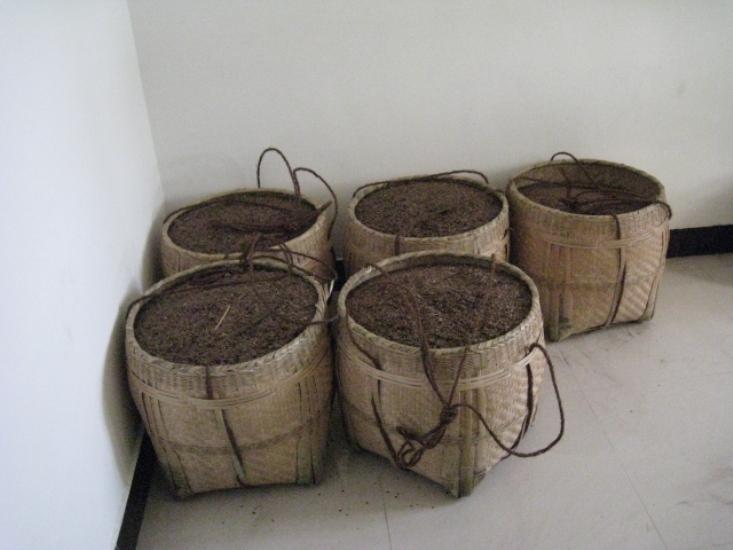 ɼľ��3������