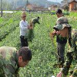 ɼľ��3����ľ